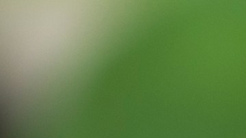 Cuáles son los alimentos que pueden actuar como antibióticos.