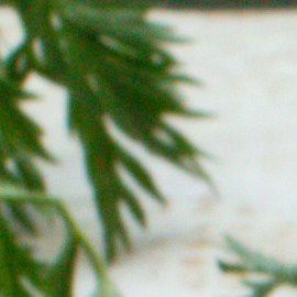 Alimentos que pueden subir la hemoglobina, según expertos médicos.