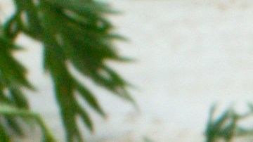 Alimentos que pueden subir la hemoglobina, según expertos médicos.