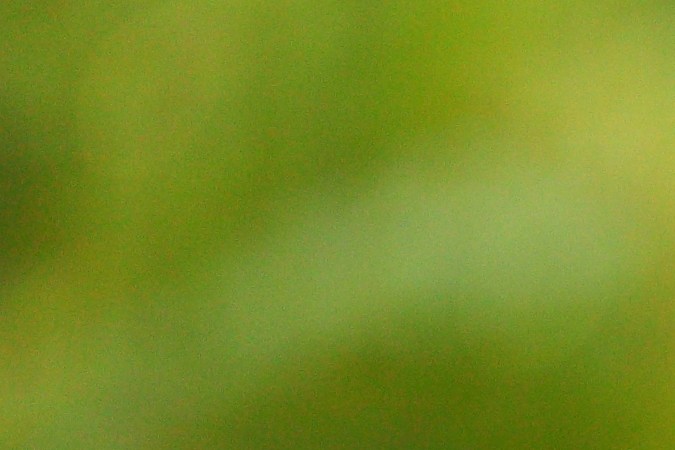 La cantidad de pasos que debes caminar al día para mejorar tu salud cerebral.