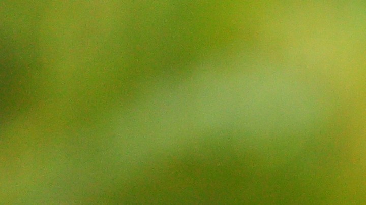 La cantidad de pasos que debes caminar al día para mejorar tu salud cerebral.