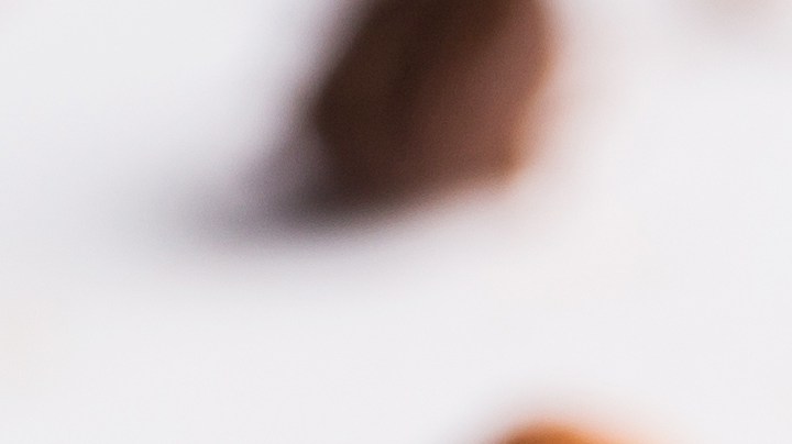 Dietista revela cuál es el mejor condimento para regular el colesterol.