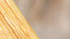 Por qué no debes combinar el consumo de cúrcuma con algunos medicamentos.