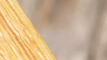 Por qué no debes combinar el consumo de cúrcuma con algunos medicamentos.