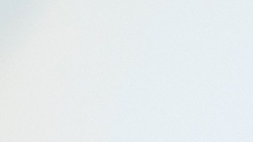 En qué consiste el efecto "marmota" y cómo entorpece tu vida amorosa.