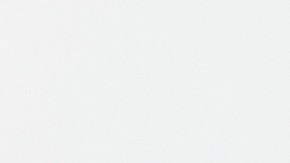 Errores al alimentar a tu perro, según una entrenadora canina.