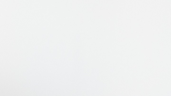 Errores al alimentar a tu perro, según una entrenadora canina.