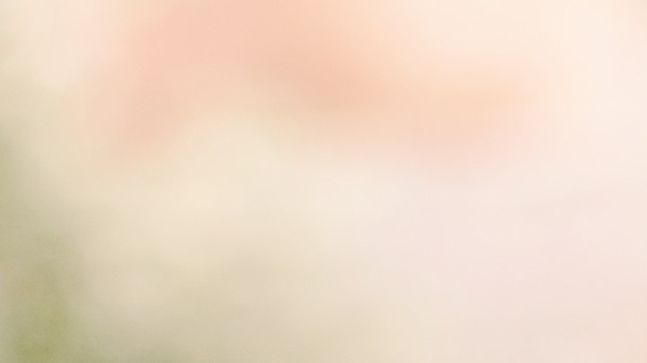 Por qué debes volver a usar mascarilla, según la recomendación de los CDC.