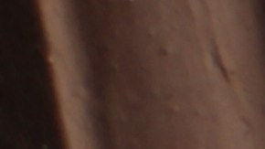 La razón por la que no debes matar ni espantar las largatijas de tu casa.