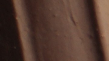 La razón por la que no debes matar ni espantar las largatijas de tu casa.