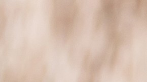 Los alimentos que no debes comer por tu presión arterial.