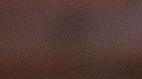 Entrenador canino indica cuáles son las razas de perro que no deberías tener en casa.