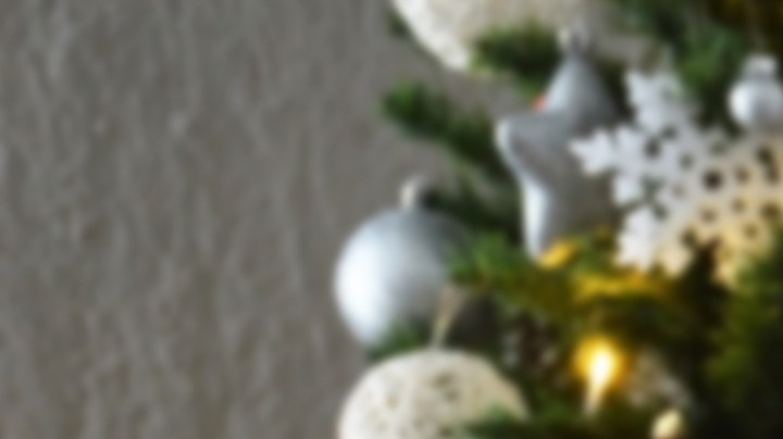 Por qué se le caen las hojas a tu "Nochebuena" y cómo cuidarla