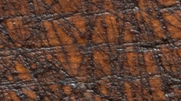 Recupera plantas con un fertilizante casero de frijol blanco