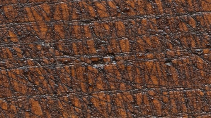 Recupera plantas con un fertilizante casero de frijol blanco