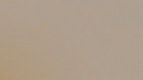 Qué hacer ante picaduras de avispas y cómo saber si eres alérgico