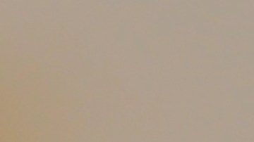 Qué hacer ante picaduras de avispas y cómo saber si eres alérgico