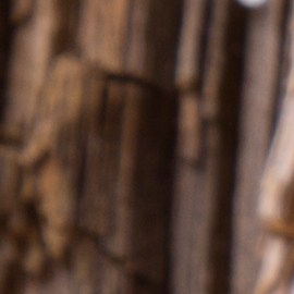 Seis mejores batidos para aumentar los glúteos y piernas