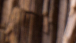 Seis mejores batidos para aumentar los glúteos y piernas