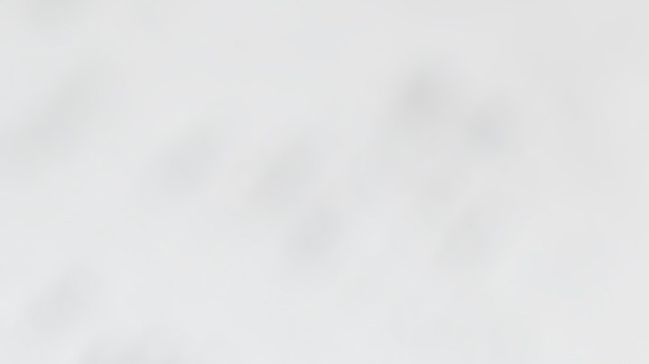 Cuántas calorías tiene un sandwich de camaron tempura