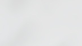 Cuántas calorías tiene un sandwich de camaron tempura