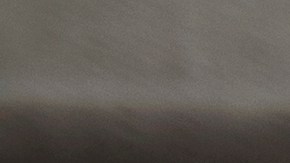 Los niños y adultos mayores son los más afectados con la nueva variante del COVID, Pirola