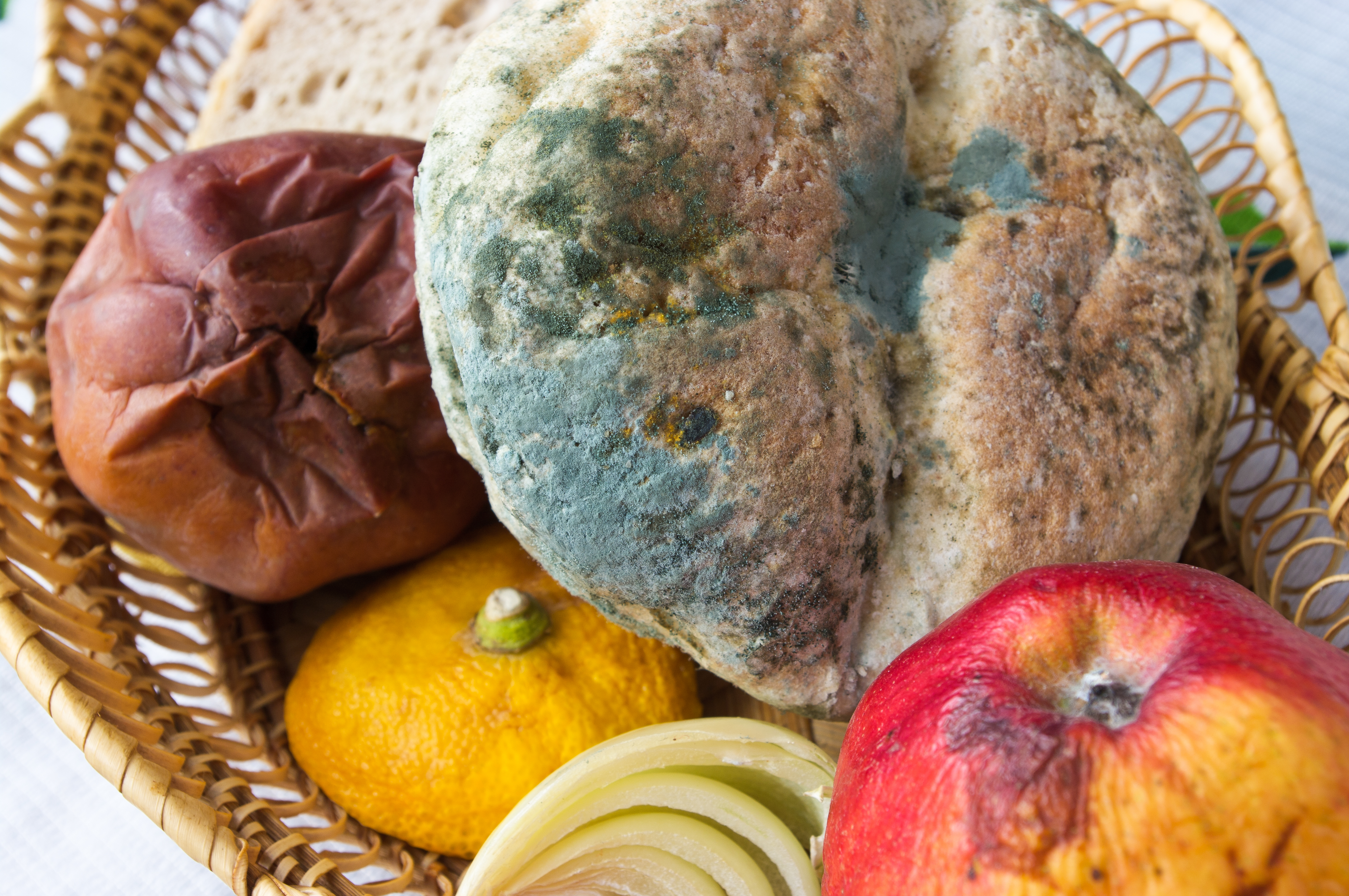 Cuándo se puede descartar la parte con moho de las verduras y consumir el resto