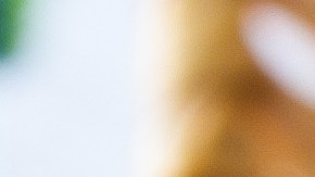 Cuándo se puede descartar la parte con moho de las verduras y consumir el resto