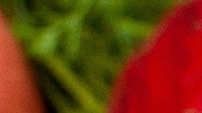 Estas son las 6 verduras desinflamatorias que te ayudan en enero