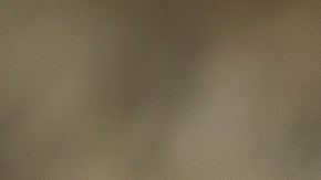 Cómo preparar tacos de hamburguesa.