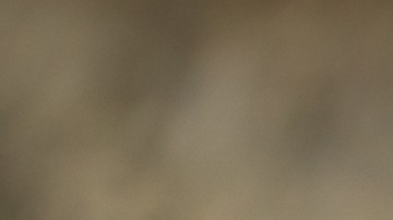 Cómo preparar tacos de hamburguesa.