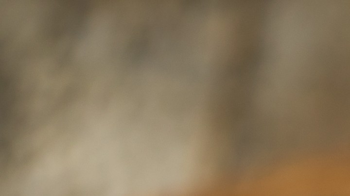 Cómo preparar tacos de hamburguesa.