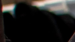 Podríamos estar ingiriendo mercurio a través del atún, estudio lo revela