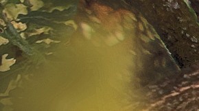 Autosabojate: 5 Claves para dejar de ser tu peor enemiga