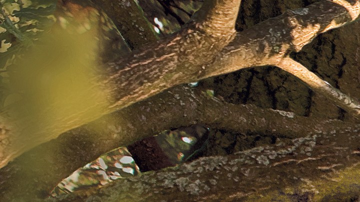 Autosabojate: 5 Claves para dejar de ser tu peor enemiga