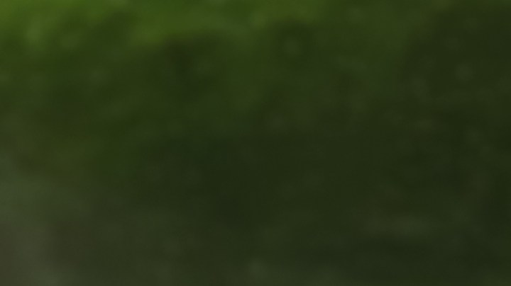 Aceite de aguacate incluido en la norma internacional de aceites vegetales