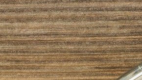 Cuáles son los alimentos que aportan más calcio a tu organismo.