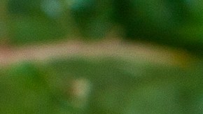 5 Alimentos para estimular tu memoria, según expertos