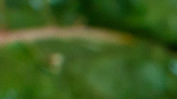 5 Alimentos para estimular tu memoria, según expertos