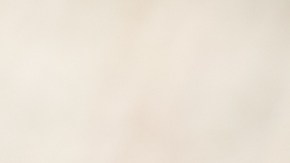 5 Propiedades del amaranto para mejorar tu salud en 8 días