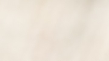 5 Propiedades del amaranto para mejorar tu salud en 8 días