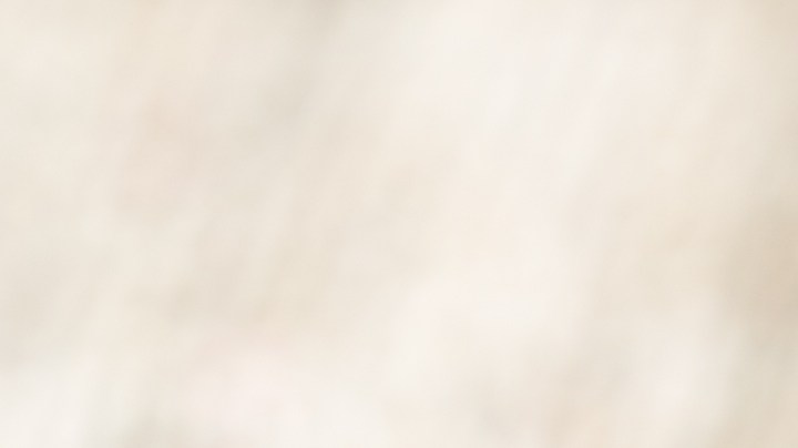 5 Propiedades del amaranto para mejorar tu salud en 8 días