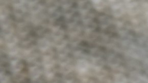 5 Propiedades del amaranto para mejorar tu salud en 8 días