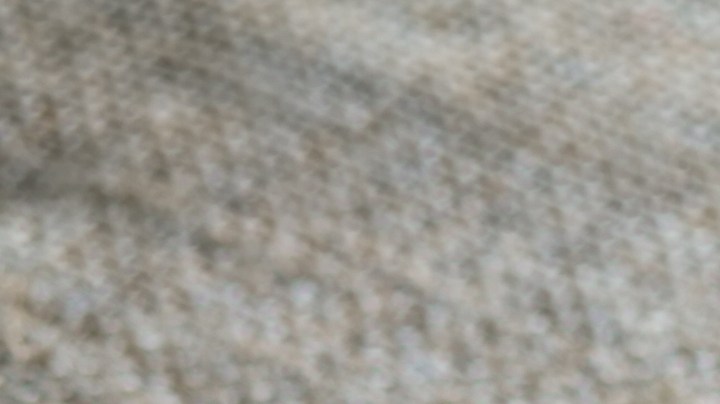 5 Propiedades del amaranto para mejorar tu salud en 8 días