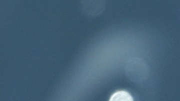 ¿Cómo superar el miedo a conducir: Amaxofobia?