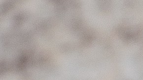 Hacks para estar mejor: Cómo aprovechar la leche de avena para mejorar la salud cardiovascular.