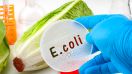 Consejos para cuidar tu salud del brote de E. coli, según expertos