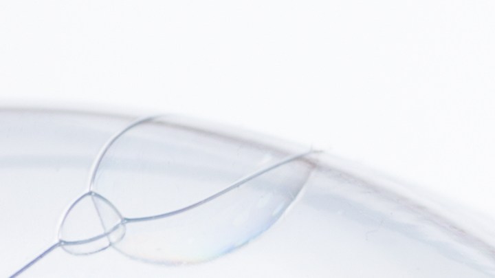 Los enjuagues bucales afectados, con peróxido de hidrógeno, poseen los sabores Wintermint y Eucalyptus Mint.