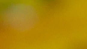 Cómo hacer un ritual casero para ganar raspaditos de la lotería.