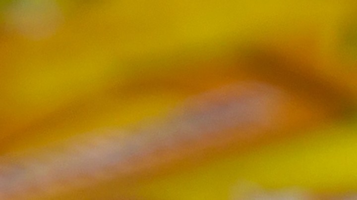 Cómo hacer un ritual casero para ganar raspaditos de la lotería.